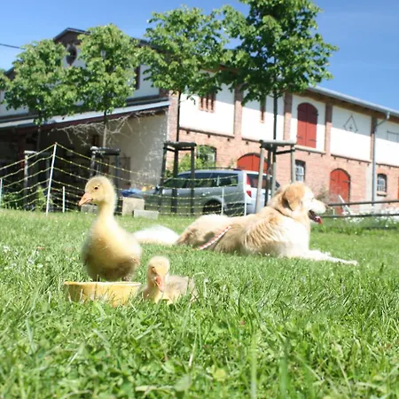 Apartman Bauernhaus Mit Antiken Mobeln Satow